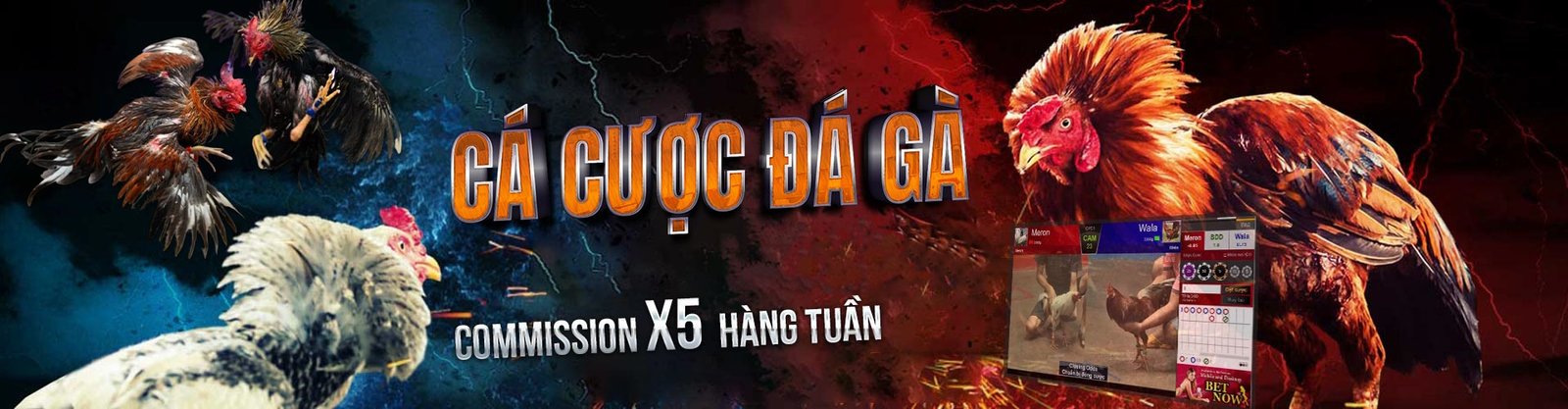 Trang chủ 22 da ga thomo sv388