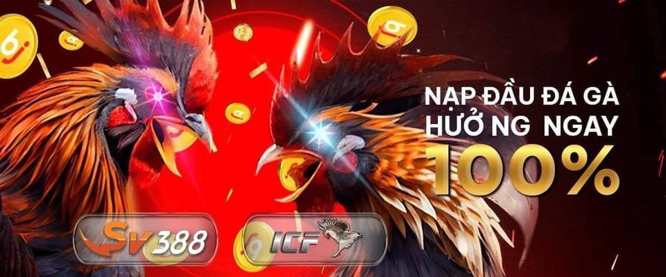 photo 2024 08 09 19 04 49